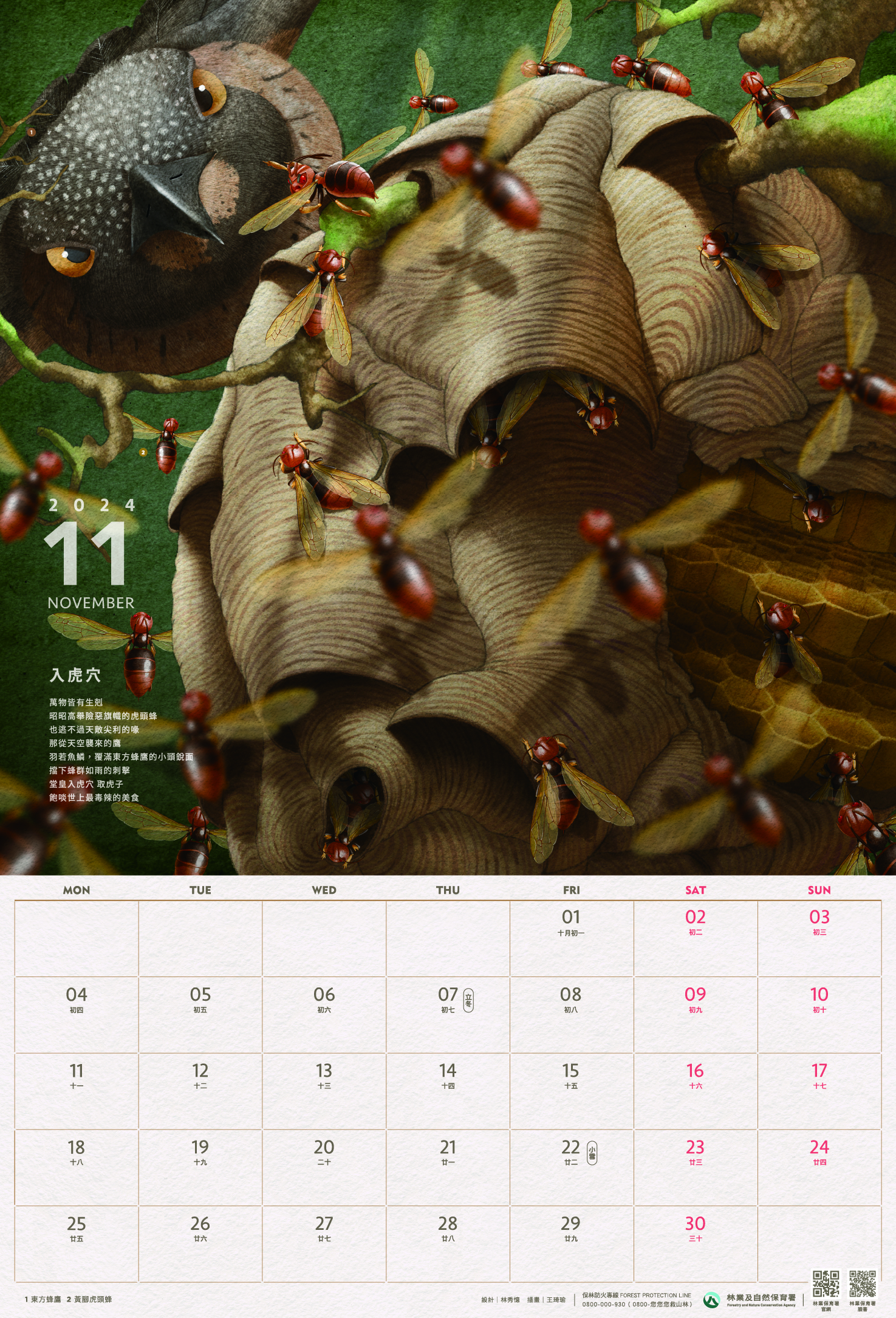 林業保育署-113年曆-11月