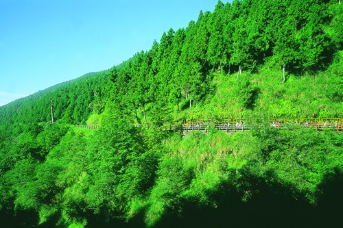 Taipingshan Bong Bong Train