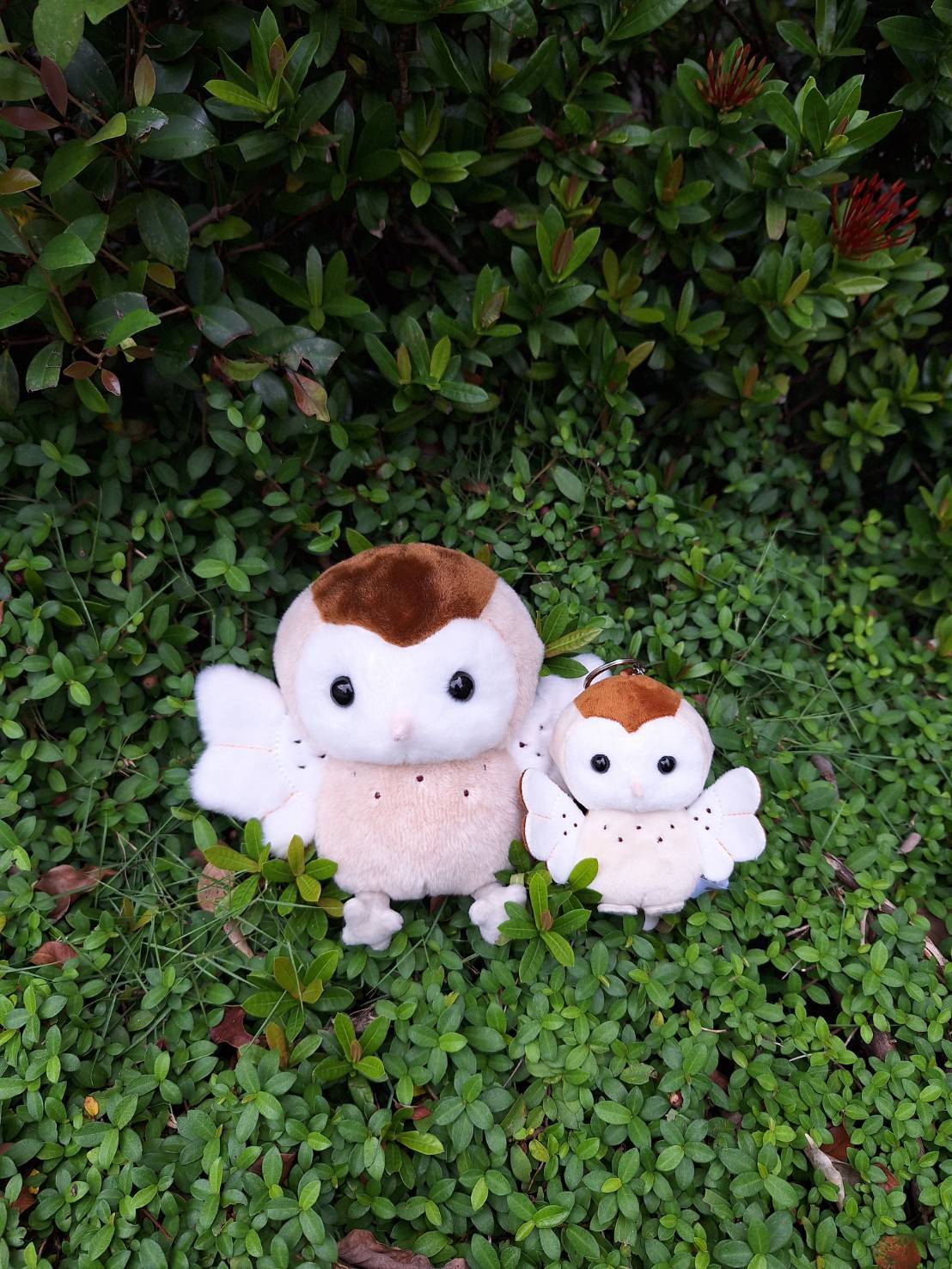 草鴞布偶及鑰匙圈