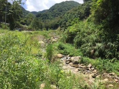 新店區平廣溪土石流災害治理