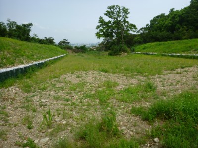 Downstream of a remediated wild river in Protection Forest 1704, Tianzhong Township