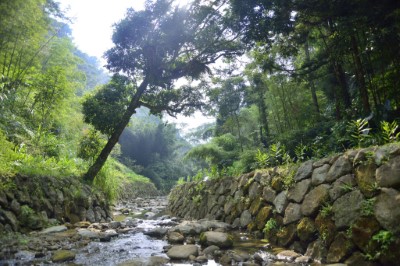 Wild-stream management at Alishan Compartment 194