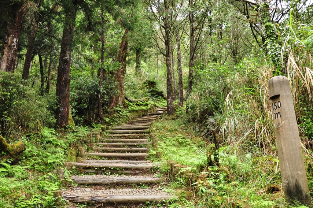 翠峰湖環山步道