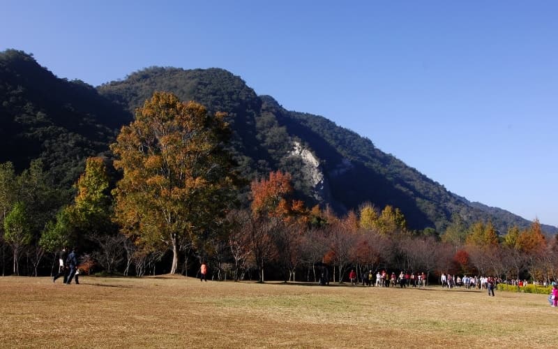 奧萬大國家森林遊樂區(開園)