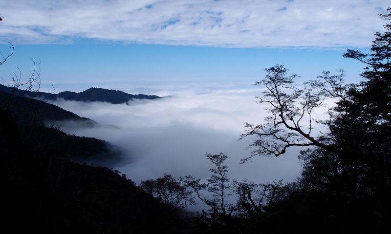 觀霧國家森林遊樂區(開園)