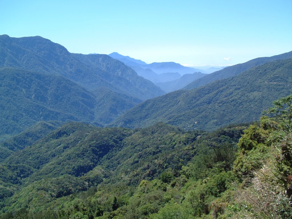 藤枝國家森林遊樂區(開園)