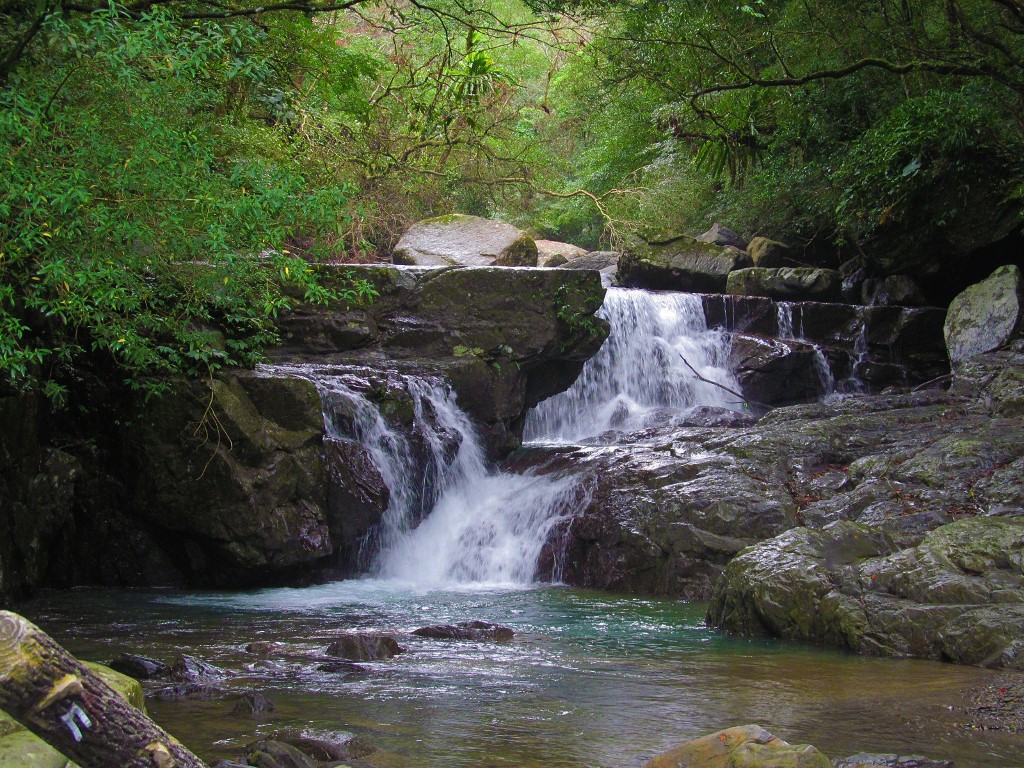 Manyueyuan Forest Recreation Area