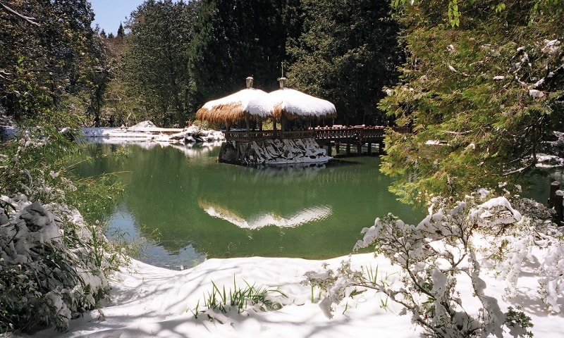 阿里山國家森林遊樂區(開園)