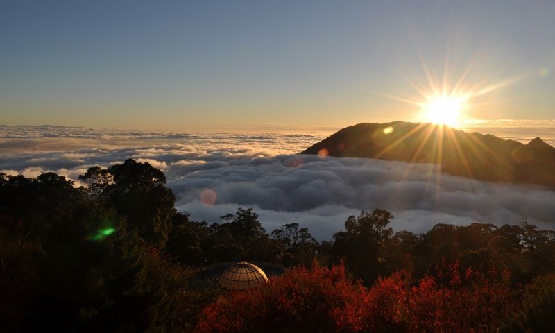 大雪山國家森林遊樂區(開園)