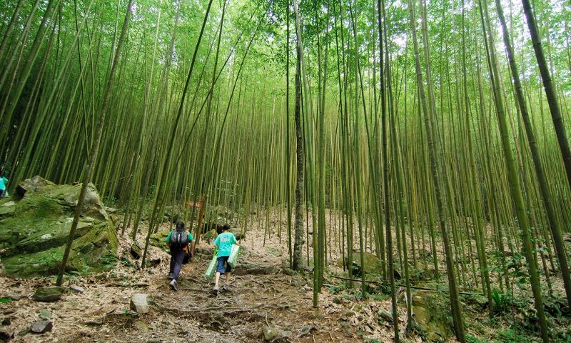 Basianshan Forest Recreation Area