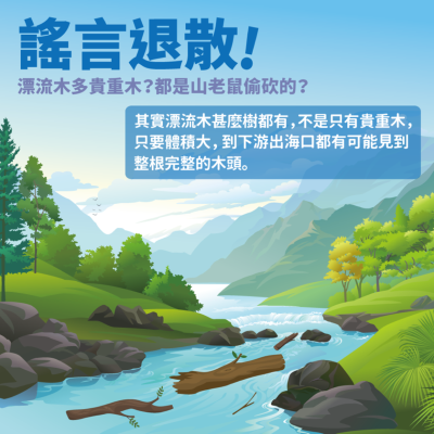 聽說漂流木都是山老鼠偷砍的！？