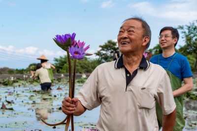 嘗試營造人與自然和諧共生的環境