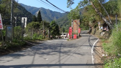 大鹿林道本線-白蘭部落岔路口