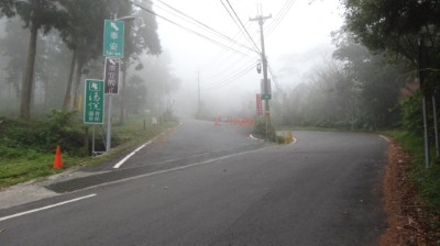 八卦力林道岔路口