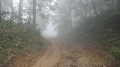 大湳林道