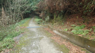 水田林道路況