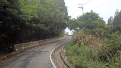 樂山林道