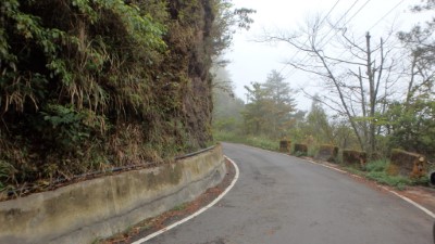 樂山林道過彎處