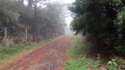 樂山林道路況