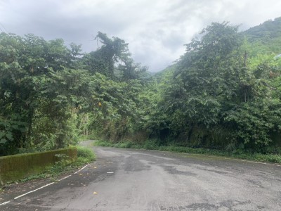 出雲山林道