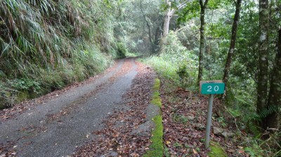 郡大林道20K