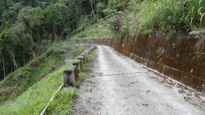 雙龍林道