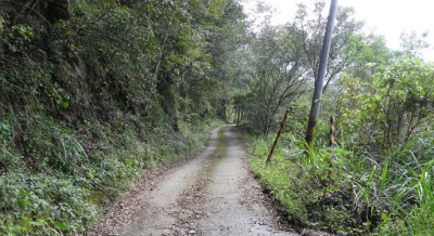 山林資源 森林資源 林務局所屬林道資料 尖台林道