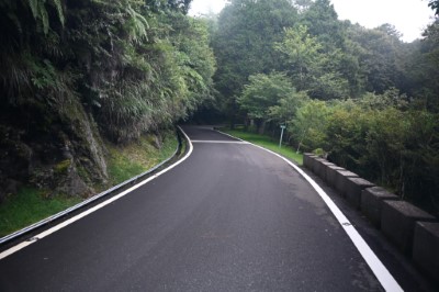 祝山林道風景