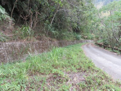 瀨頭林道一隅