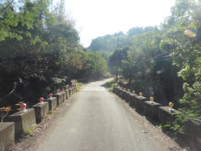 南山林道沿線風景