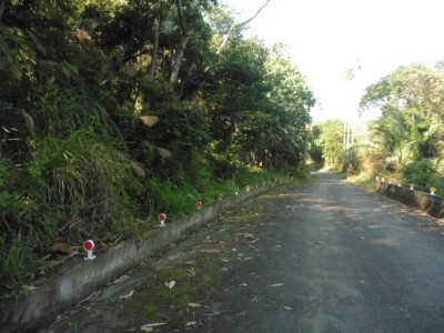 南山林道風景