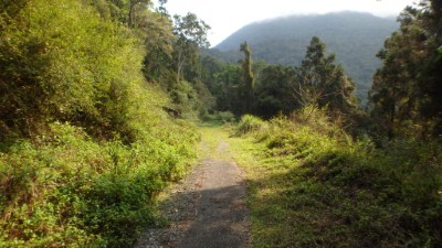 石山林道 