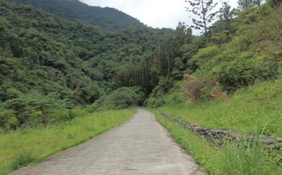 扇平林道風景