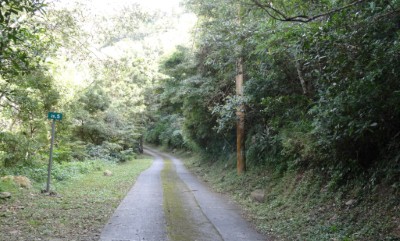 大漢林道20.5K