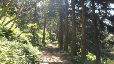 錦平林道