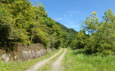 萬榮林道風景