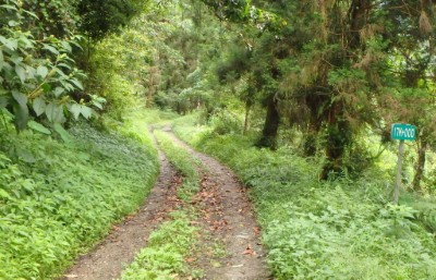 中平林道