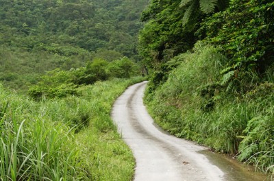 武荖坑林道風景