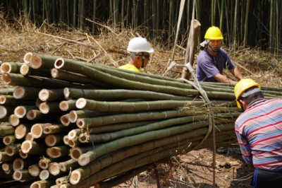 新興竹產業發展計畫