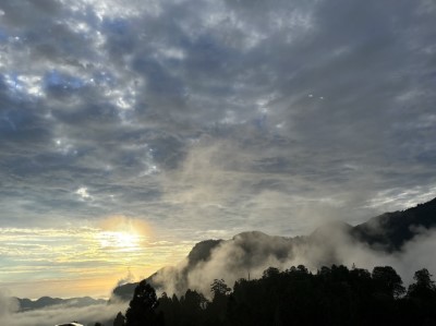 形塑大阿里山地區為臺灣山林瑰寶