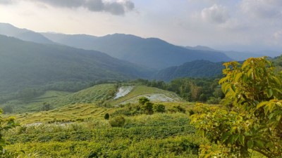 環境友善農田為保育共生地潛在場域
