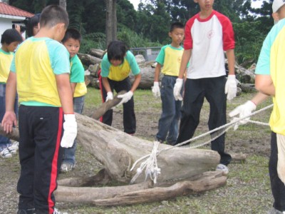 environmental education activities