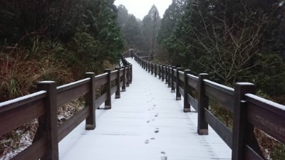  強烈大陸冷氣團襲台 太平山今晨下冰霰  