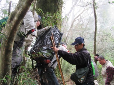 查緝人員將查獲之重達約70公斤角材背負下山