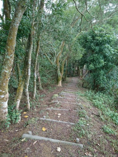 自然工法步道1
