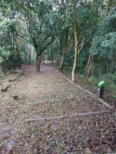 自然工法步道3