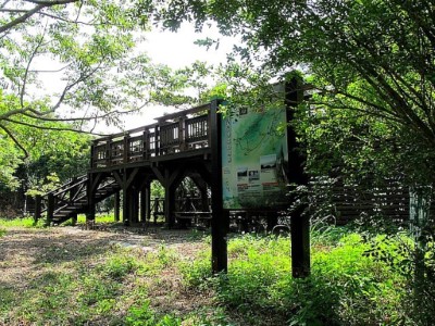 觀湖平台