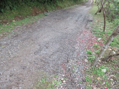 佐倉步道清通4