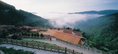 太平山森林遊樂區內一景