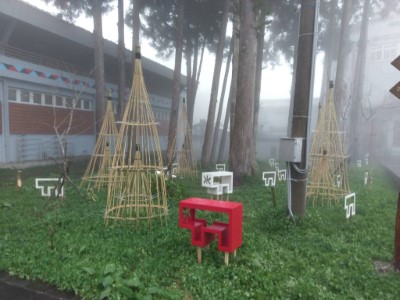 阿里山鄒族部落草地間奔跑的山豬王